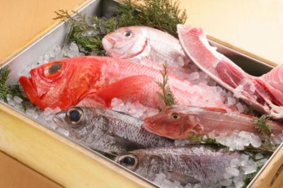 新鮮な魚介は産地から直送!魚の知識も身につきます