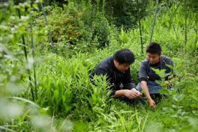 長野の食材を中心に、生産者直や自社農園、山の天然物などから目利きして仕入れます。