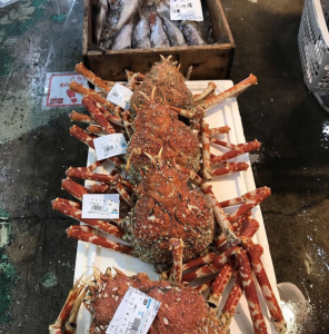 創業113年を迎えた老舗!魚の卸売りや寿司店などの運営を行っている安定企業。