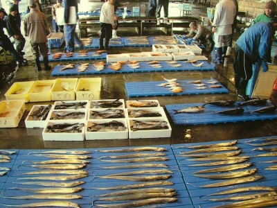 漁港から直送の、朝獲れ鮮魚をお値打ち価格でお届けしています。