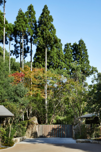 季節ごとの景観を楽しみながら、京都の芸術文化に触れていただけるホテルです。