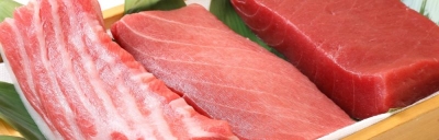 マグロの中でも最高級といわれる”天然の本マグロ”と、”インドマグロ”の2種類を提供しています。