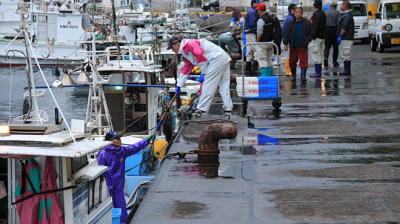 牛深の漁師がその日の朝水揚げした、抜群の鮮度と味を誇る旬の魚介が自慢です!