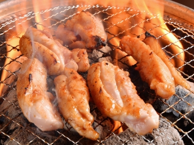 朝挽き地鶏の極上焼き鳥。まずは焼鳥を焼き方から教えます。