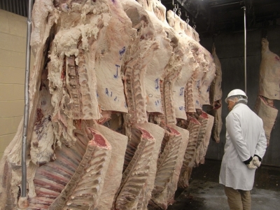 使用する牛肉は、契約農家から一頭買いした国産黒毛和牛にこだわっています。