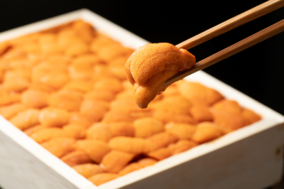 食材のことやお酒の知識がなくても問題ありません。大将に学びながら自分のペースで成長してくださいね。