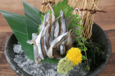 瀬戸内産小いわしの刺身。新鮮な魚介を存分に楽しめる自慢のお店です。