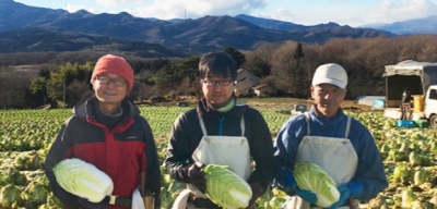有機野菜農場が群馬県など日本全国にあります。安心食材を使っていることも自慢です。