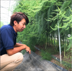 契約農家から仕入れるとれたての野菜も使っています。