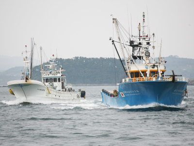 自社が保有する漁船が獲った鮮魚を、新鮮な状態でお客さまへご提供しています。