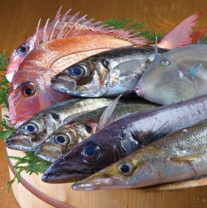 食材の仕入れからメニュー開発まで、スタッフのアイデアをカタチにしやすい環境