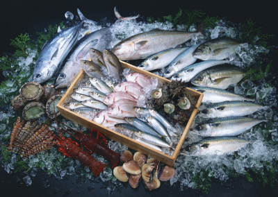 未経験者歓迎!イチから学び「魚のプロ」をめざせます!