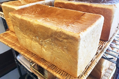 独立志向の方も歓迎します!当店で、パン作りの技術と知識を広げ、出店ノウハウも学べます。