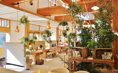 養蚕農家の建物を復元して建てられた施設内。木のぬくもりや緑の鮮やかさを感じながら働けます◎