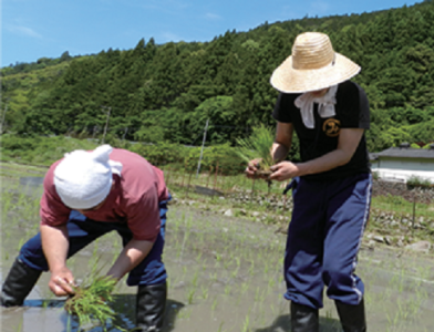 農家に出向いての農作業を楽しむ社員もいますよ!