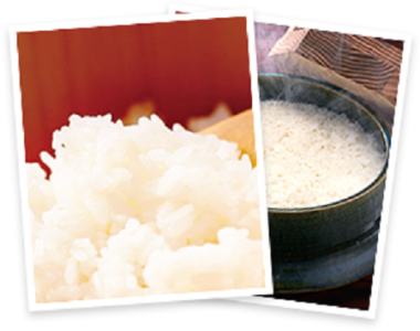 食材にはこだわりが。国産コシヒカリや岐阜県の地鶏など、新鮮食材をふんだんに使っています!