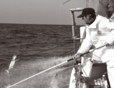 伝統の一本釣りで釣った鰹など、こだわり新鮮食材を使っています。