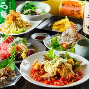 「居酒屋彩」は、創作料理と梅酒の組み合わせを提案するお店です