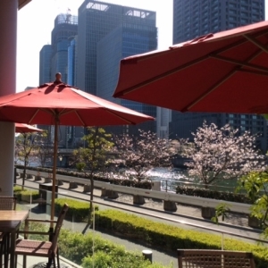 自然に囲まれたロケーションの中、ハワイの現地で味わうローカルな味を楽しむことができるお店です