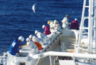 古くから鰹の一本釣り漁で知られている土佐で、100年の歴史を誇る漁船から始まった企業です。