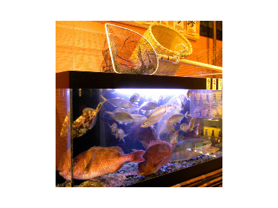 店内にはいけすが。旬の鮮魚を獲れたてで、思う存分お楽しみいただだいております。