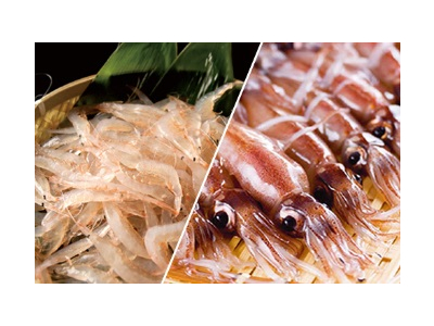 「蛍烏賊の沖漬け」「紅ずわいカニのクリームコロッケ」、加賀野菜を使った料理も人気